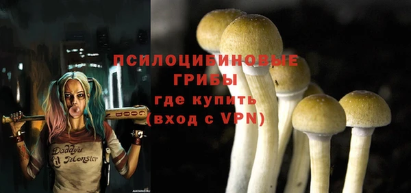 МДПВ Медвежьегорск