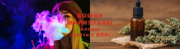 сатива Мегион