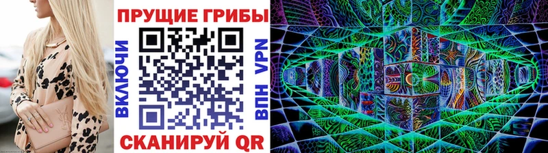KRAKEN tor  Ярославль  Галлюциногенные грибы Psilocybe 